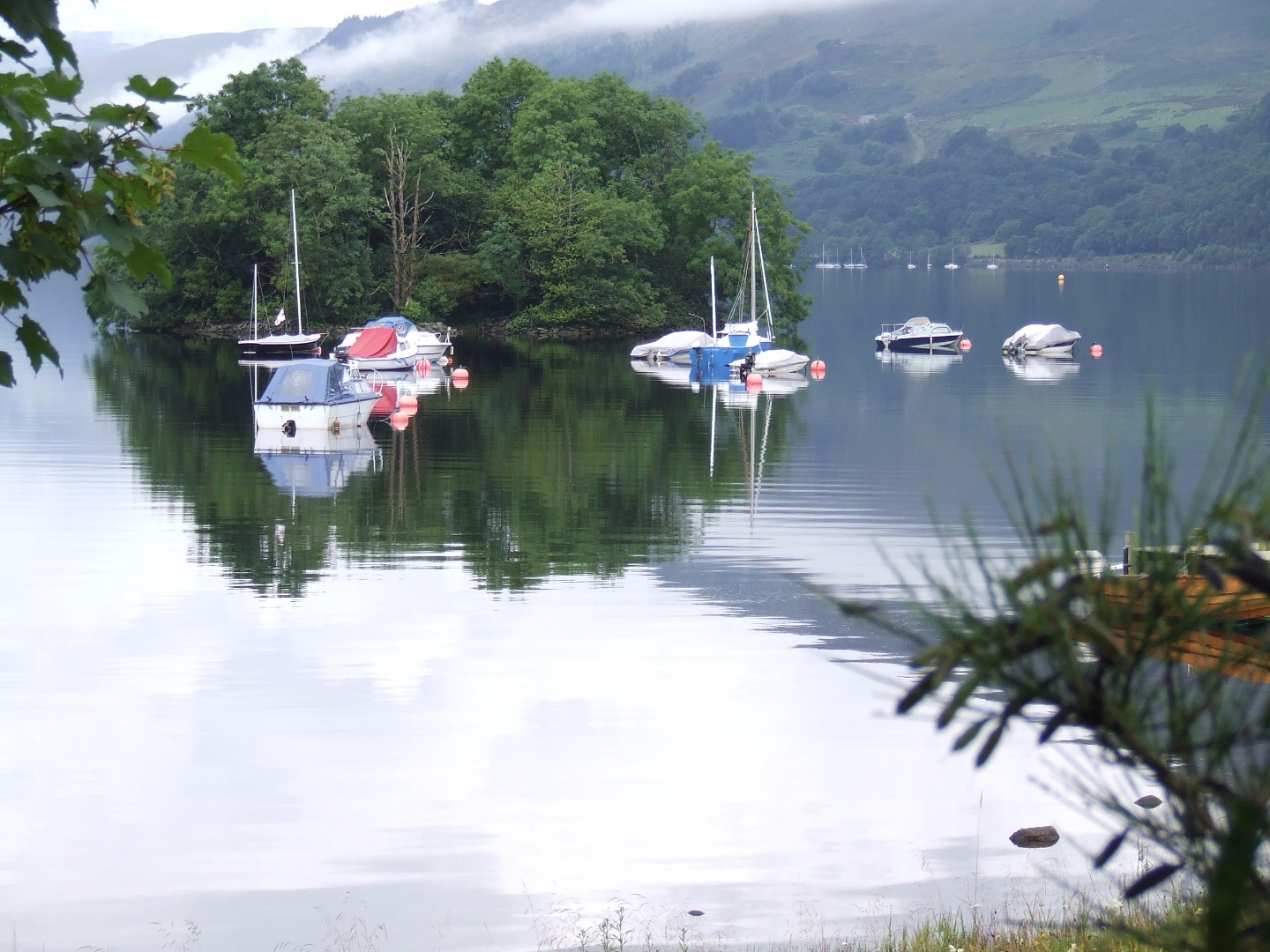 Drummond Fish Farm — photo 7