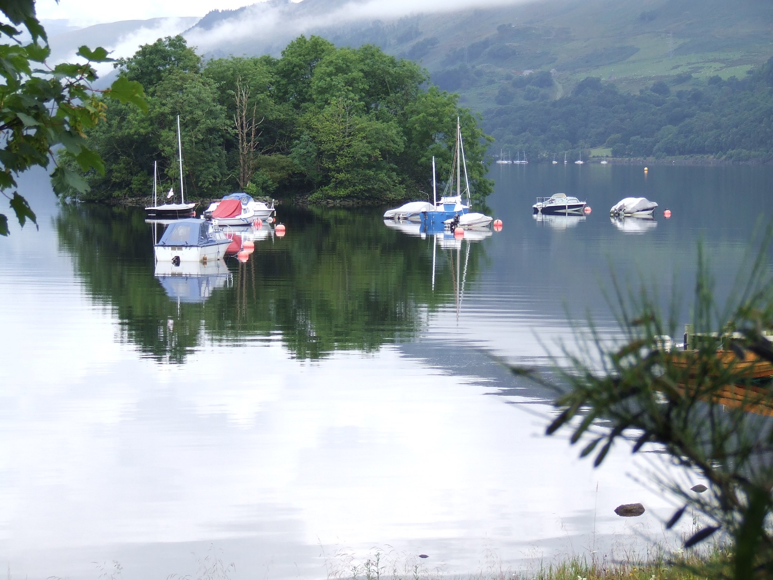 Drummond Fish Farm — photo 2